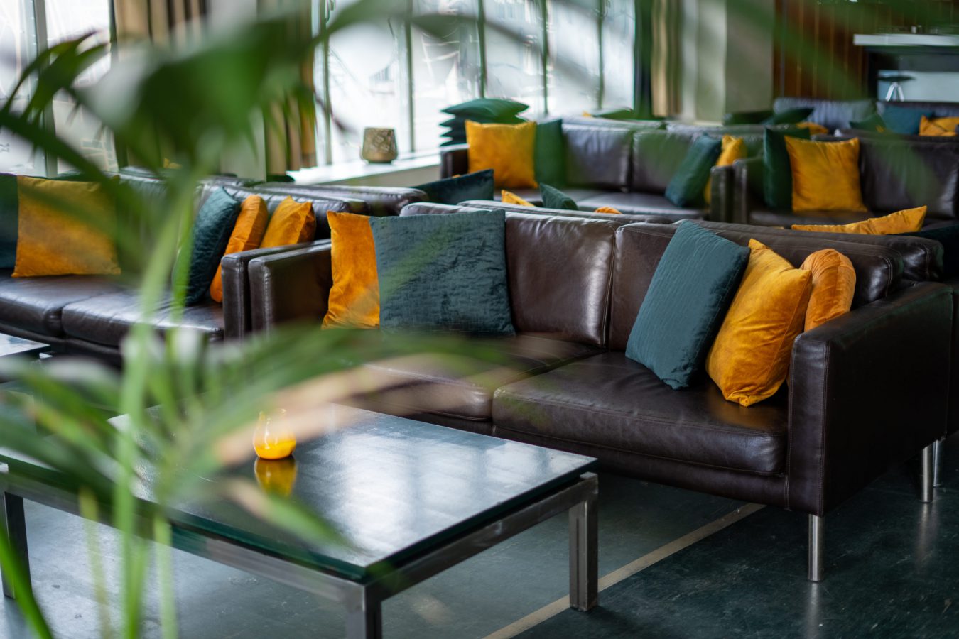 Zithoek met banken, planten en kussens